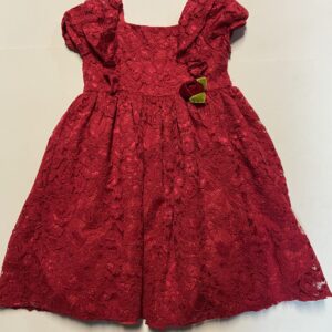 pasteurella NYC lace dress