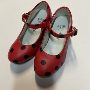 flamencas heeled shoes (size 8.5)