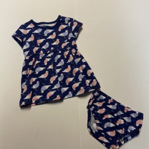 Carter's new 2 piece Dress set (6 mos)