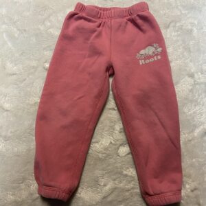 roots track pants