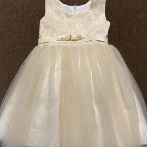 girls fancy party dress