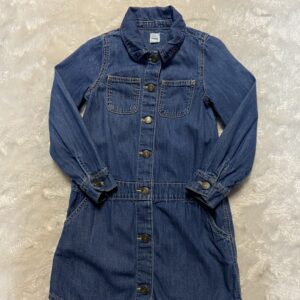 Baby Gap Denim Dress