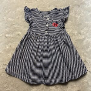 carter's dress (9 mos)