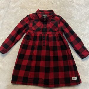 roots flannel buffalo plaid dress