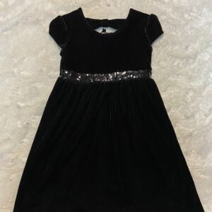 George velour dress