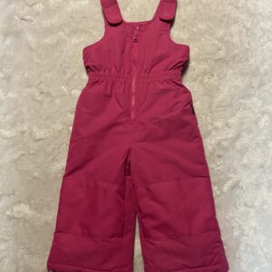Joe fresh snow pants